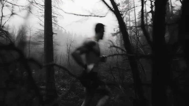 Sentier en sous-bois dans les Laurentides